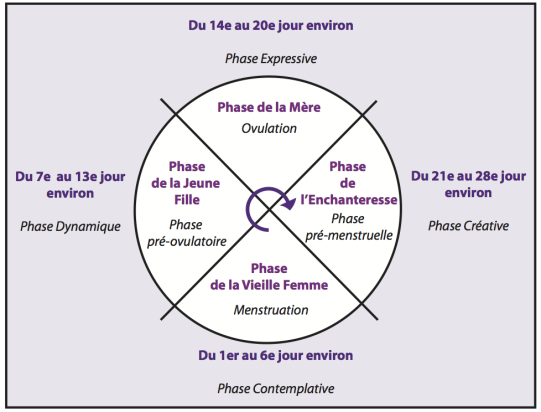 yoga de la femme - le cycle menstruel